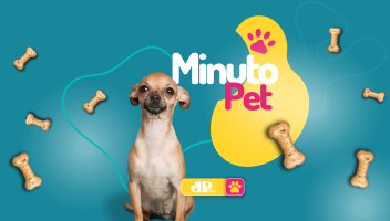Minuto PET